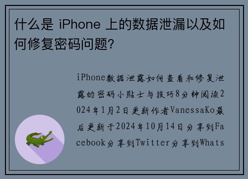 什么是 iPhone 上的数据泄漏以及如何修复密码问题？